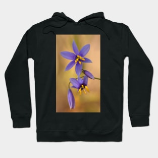 Dianella .. The intimate version Hoodie